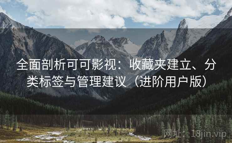 全面剖析可可影视：收藏夹建立、分类标签与管理建议（进阶用户版）