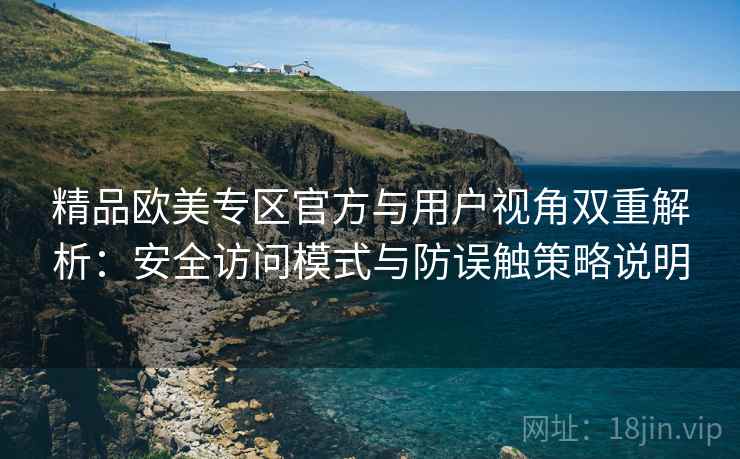 精品欧美专区官方与用户视角双重解析：安全访问模式与防误触策略说明