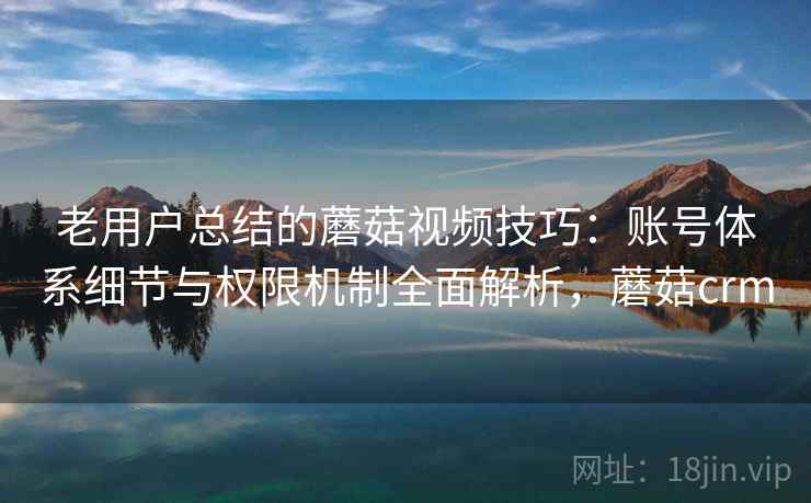 老用户总结的蘑菇视频技巧：账号体系细节与权限机制全面解析，蘑菇crm