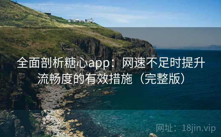 全面剖析糖心app：网速不足时提升流畅度的有效措施（完整版）