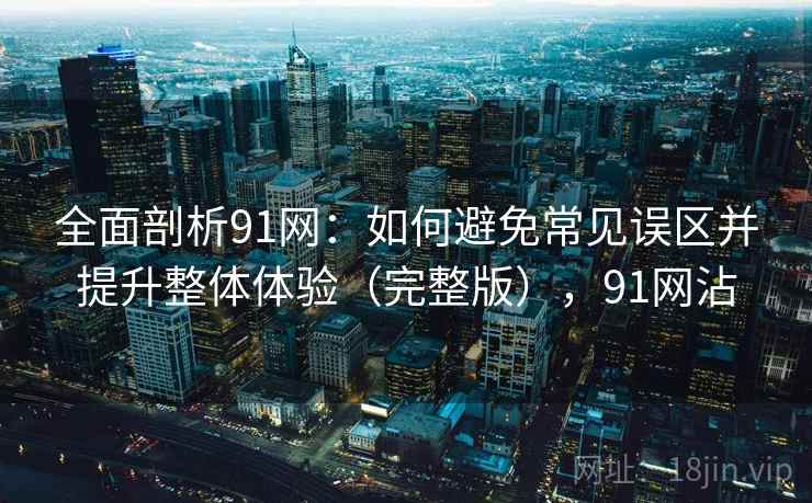 全面剖析91网：如何避免常见误区并提升整体体验（完整版），91网沾