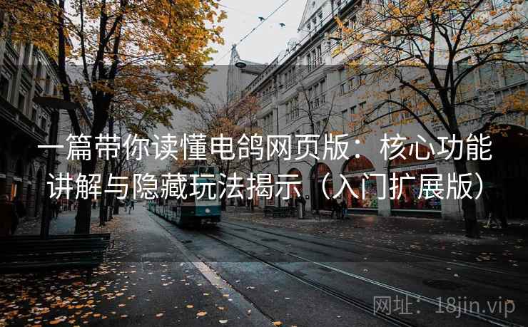 一篇带你读懂电鸽网页版：核心功能讲解与隐藏玩法揭示（入门扩展版）