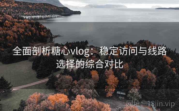 全面剖析糖心vlog：稳定访问与线路选择的综合对比