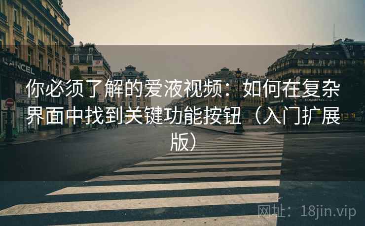 你必须了解的爱液视频：如何在复杂界面中找到关键功能按钮（入门扩展版）