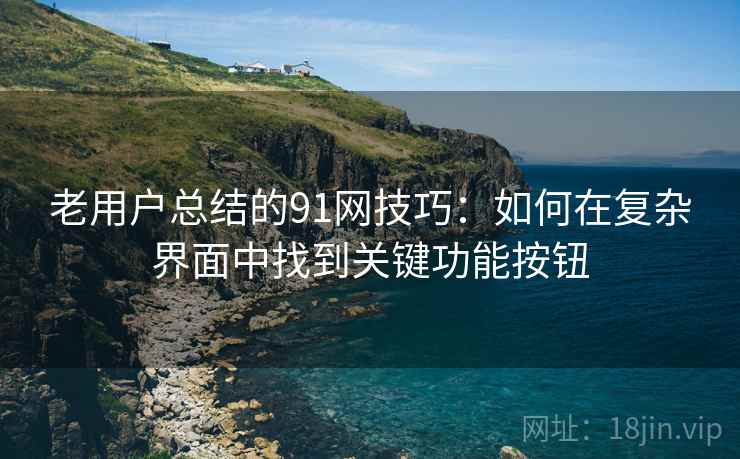 老用户总结的91网技巧：如何在复杂界面中找到关键功能按钮