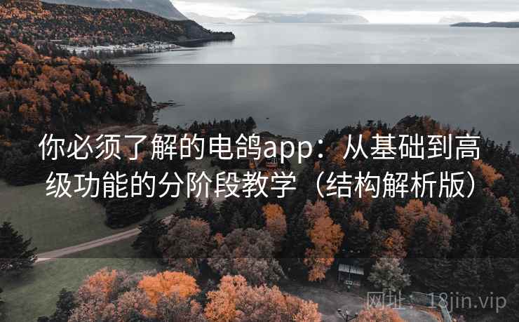 你必须了解的电鸽app：从基础到高级功能的分阶段教学（结构解析版）