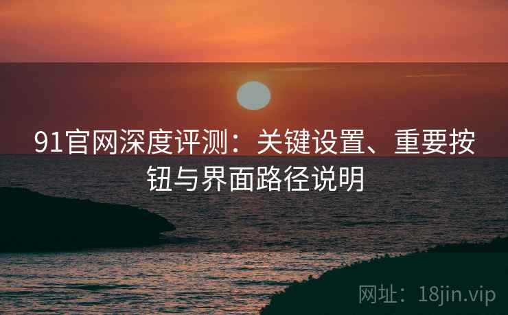 91官网深度评测：关键设置、重要按钮与界面路径说明