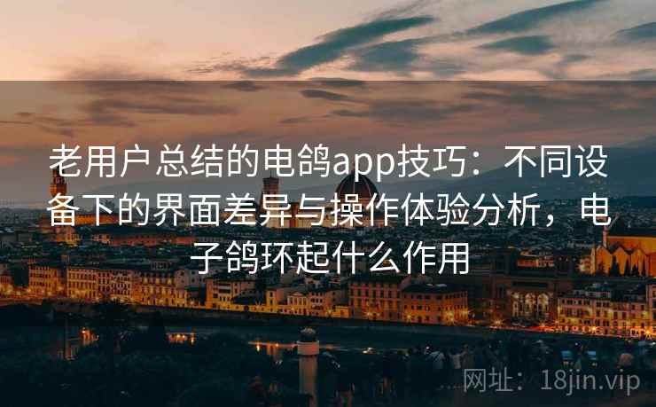 老用户总结的电鸽app技巧：不同设备下的界面差异与操作体验分析，电子鸽环起什么作用