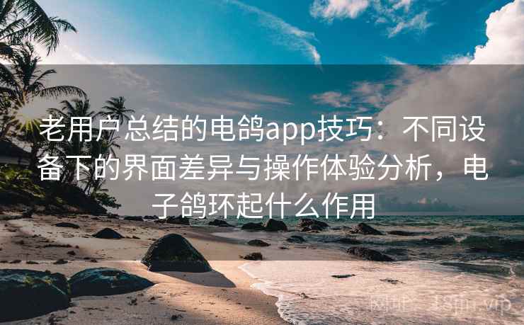 老用户总结的电鸽app技巧：不同设备下的界面差异与操作体验分析，电子鸽环起什么作用