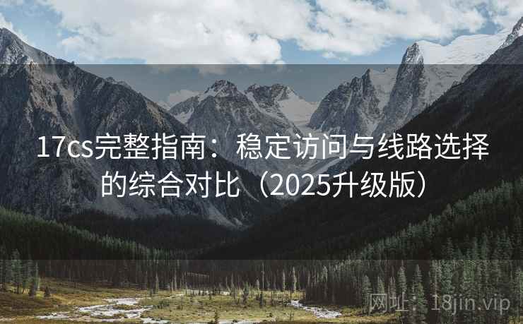 17cs完整指南：稳定访问与线路选择的综合对比（2025升级版）