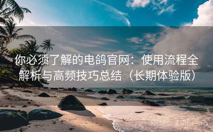 你必须了解的电鸽官网：使用流程全解析与高频技巧总结（长期体验版）