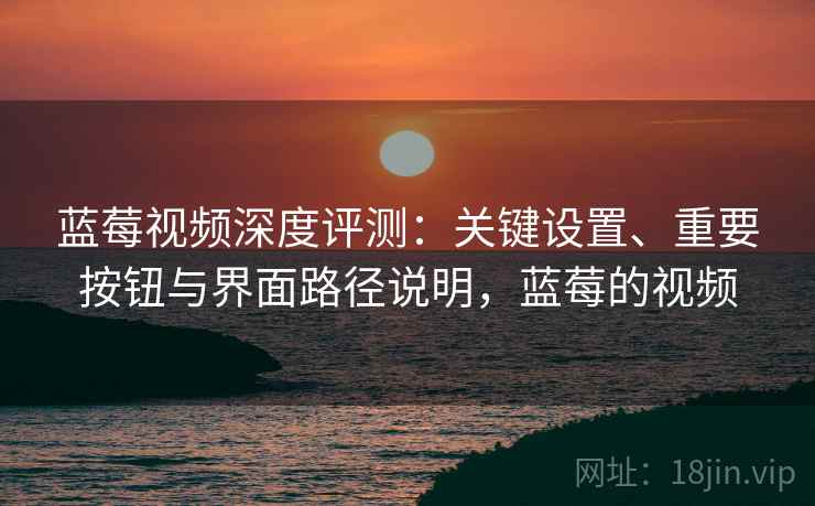 蓝莓视频深度评测：关键设置、重要按钮与界面路径说明，蓝莓的视频