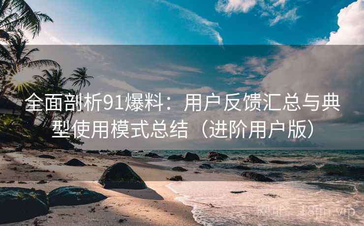 全面剖析91爆料:用户反馈汇总与典型使用模式总结(进阶用户版) 全面剖析91爆料:用户反馈汇总与典型使用模式总结(进阶用户版)