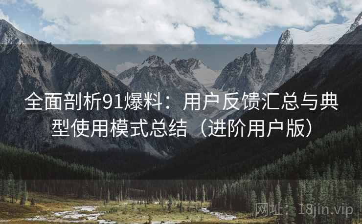 全面剖析91爆料：用户反馈汇总与典型使用模式总结（进阶用户版）