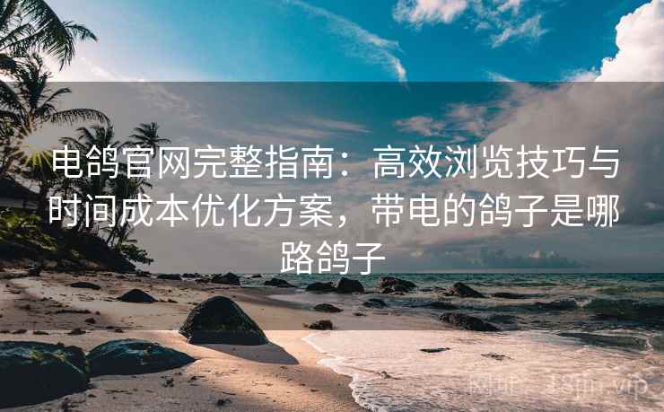 电鸽官网完整指南：高效浏览技巧与时间成本优化方案，带电的鸽子是哪路鸽子