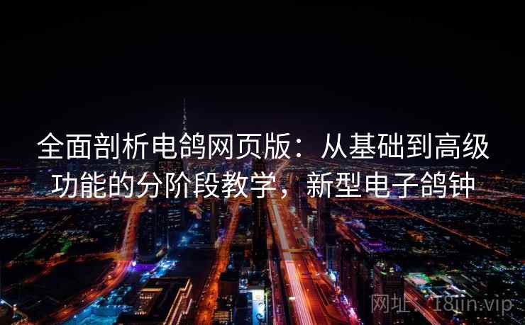 全面剖析电鸽网页版：从基础到高级功能的分阶段教学，新型电子鸽钟