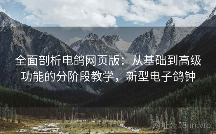 全面剖析电鸽网页版:从基础到高级功能的分阶段教学,新型电子鸽钟 全面剖析电鸽网页版:从基础到高级功能的分阶段教学,新型电子鸽钟