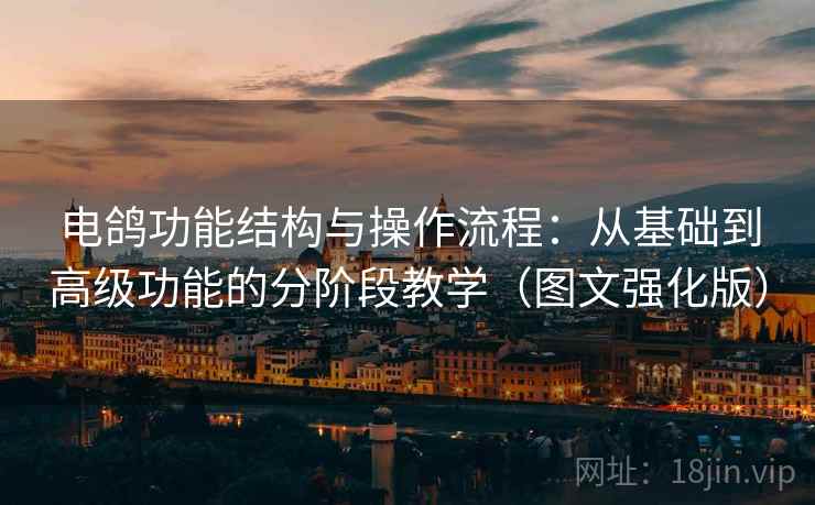 电鸽功能结构与操作流程：从基础到高级功能的分阶段教学（图文强化版）