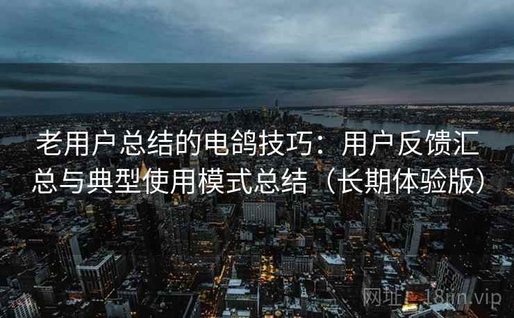 老用户总结的电鸽技巧:用户反馈汇总与典型使用模式总结(长期体验版) 老用户总结的电鸽技巧:用户反馈汇总与典型使用模式总结(长期体验版)