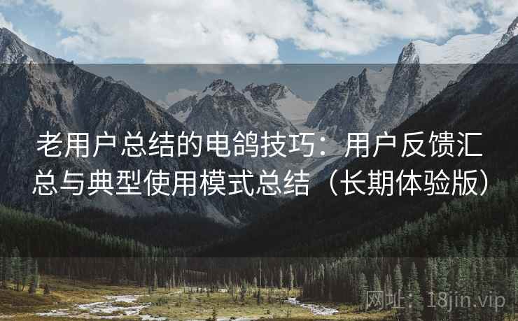 老用户总结的电鸽技巧：用户反馈汇总与典型使用模式总结（长期体验版）