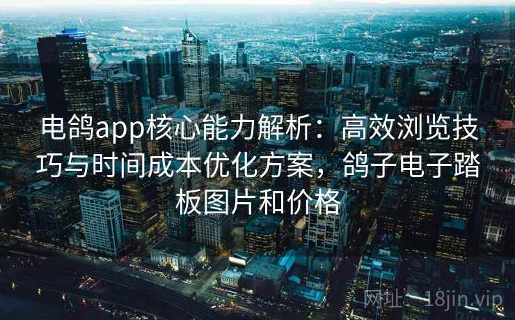 电鸽app核心能力解析:高效浏览技巧与时间成本优化方案,鸽子电子踏板图片和价格 电鸽app核心能力解析:高效浏览技巧与时间成本优化方案,鸽子电子踏板图片和价格