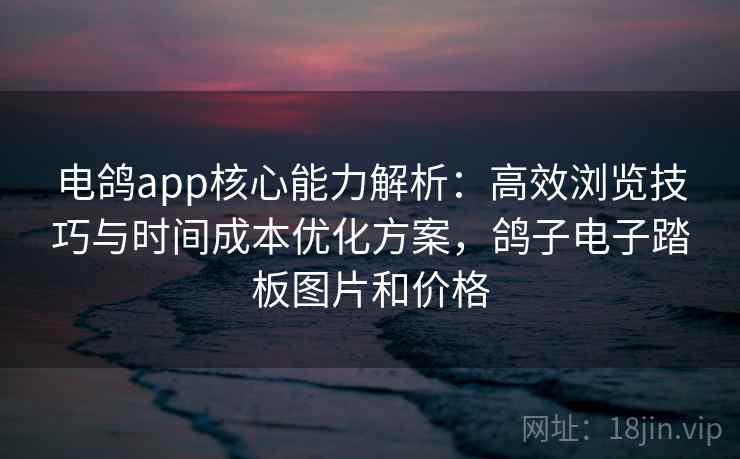电鸽app核心能力解析：高效浏览技巧与时间成本优化方案，鸽子电子踏板图片和价格