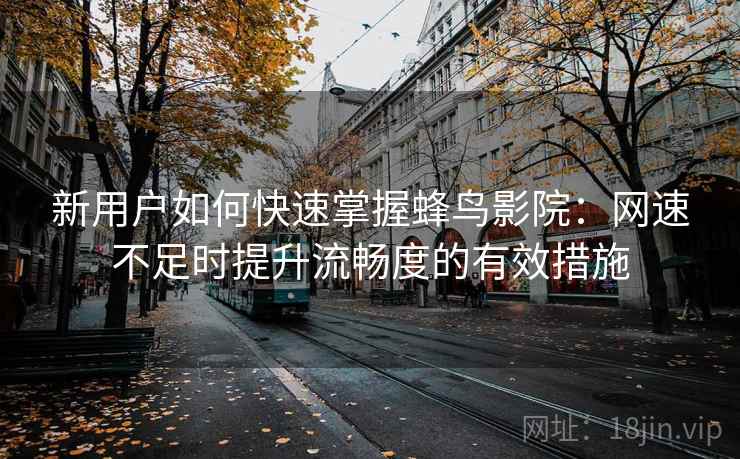 新用户如何快速掌握蜂鸟影院：网速不足时提升流畅度的有效措施