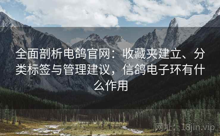 全面剖析电鸽官网：收藏夹建立、分类标签与管理建议，信鸽电子环有什么作用