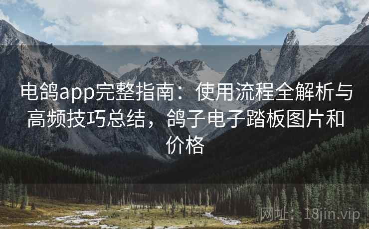 电鸽app完整指南：使用流程全解析与高频技巧总结，鸽子电子踏板图片和价格