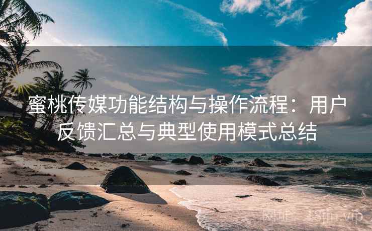 蜜桃传媒功能结构与操作流程：用户反馈汇总与典型使用模式总结