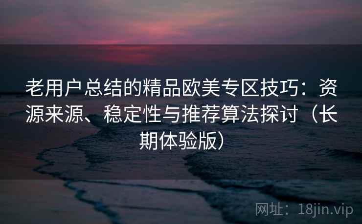 老用户总结的精品欧美专区技巧：资源来源、稳定性与推荐算法探讨（长期体验版）