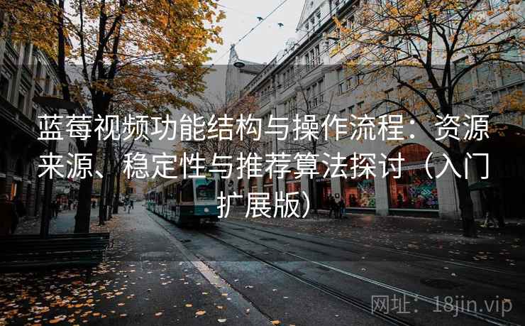 蓝莓视频功能结构与操作流程：资源来源、稳定性与推荐算法探讨（入门扩展版）