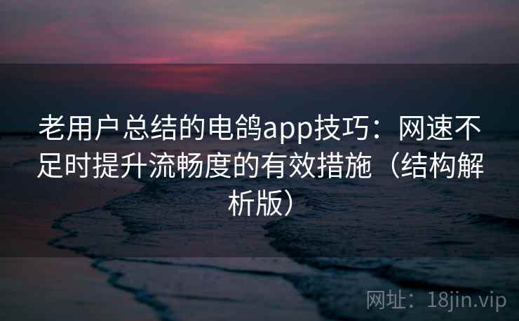 老用户总结的电鸽app技巧：网速不足时提升流畅度的有效措施（结构解析版）