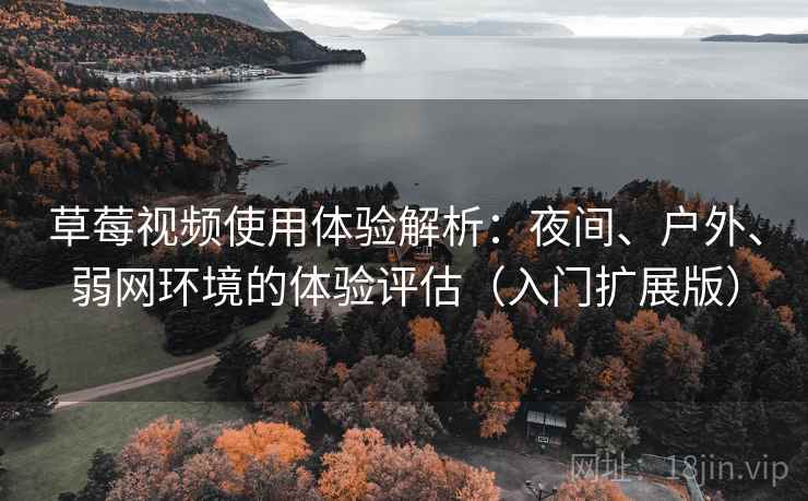 草莓视频使用体验解析：夜间、户外、弱网环境的体验评估（入门扩展版）
